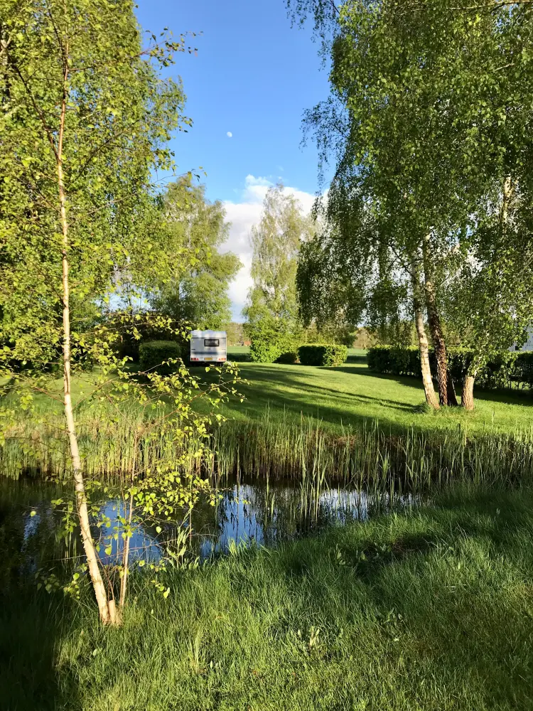 camping_overijssel_De_kikkerpoel_op_de_Rietkraag.webp